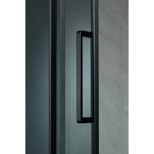 Premier Hinged Door & Inline Panel - Black Frame