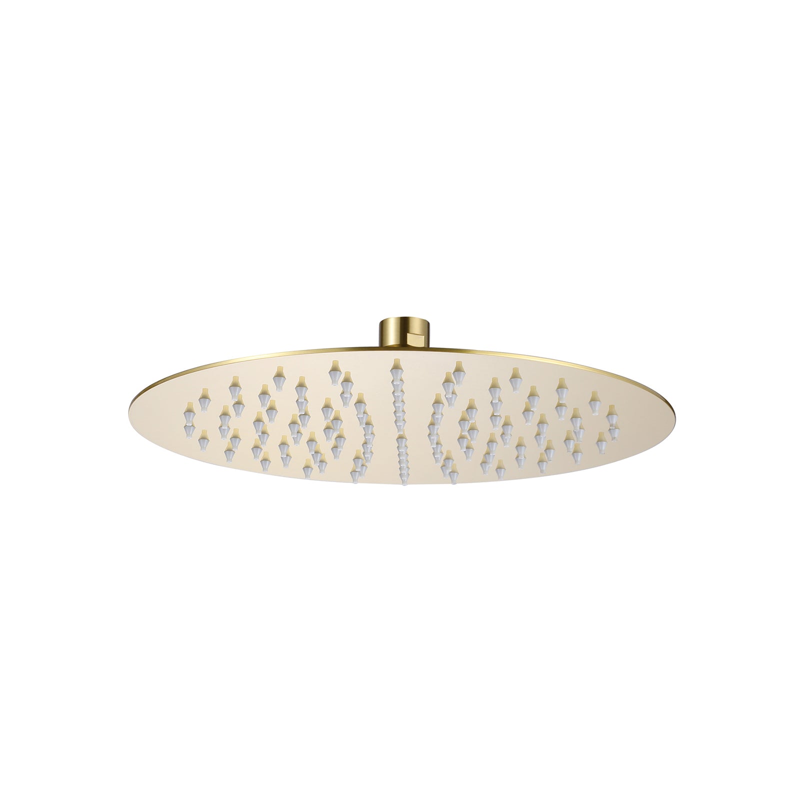 Round Slim Shower Head - Brushed Brass