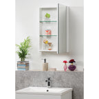 Options 40 1-Door Mirror Cabinet