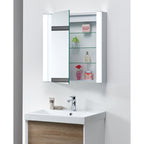 Alto Mirror Cabinet with LED Lights