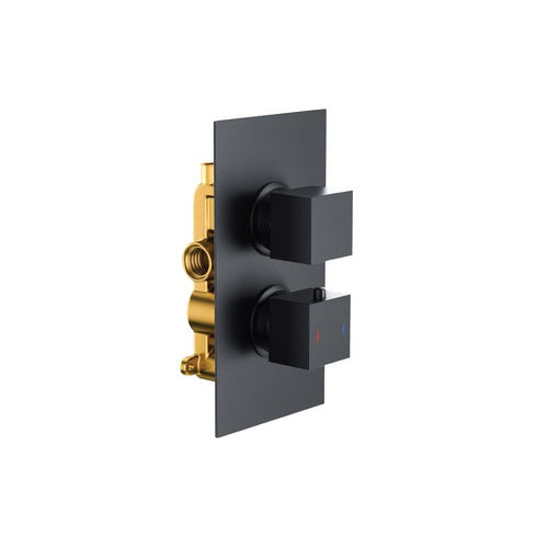 Bewl Single Outlet Two Control Concealed Thermostatic Shower Valve