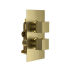 Bewl Single Outlet Two Control Concealed Thermostatic Shower Valve