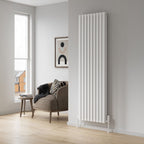 Neva Mild Steel Vertical Radiator