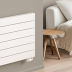 Rienza Aluminium Radiator
