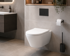 Rimini Rimless Wall-Hung Pan & Soft Close Seat