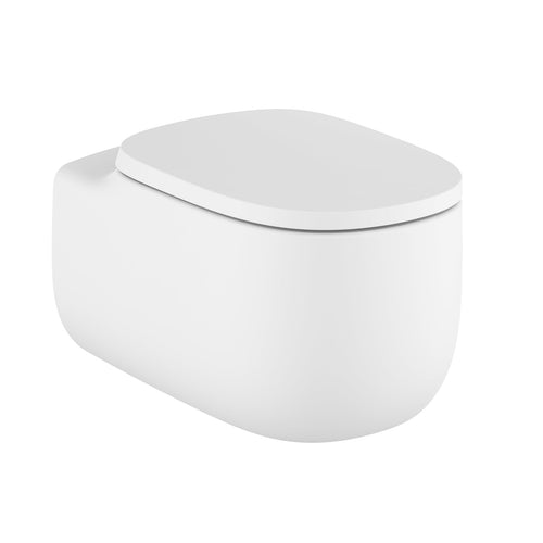 Roca Beyond Rimless Wall Hung Pan